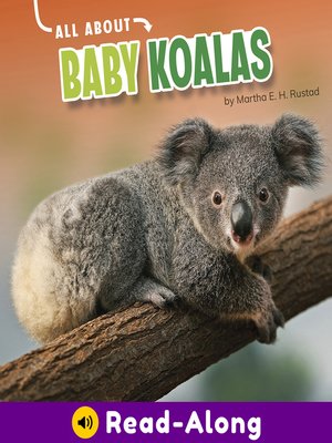 cover image of All About Baby Koalas